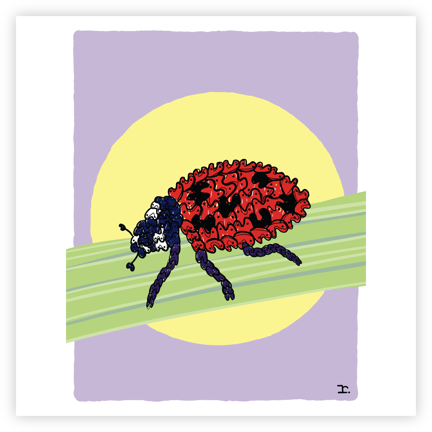 "LADYBUG"